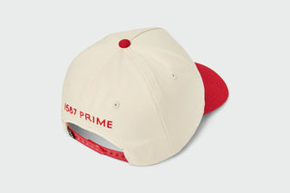 1587 RARE Structured Dad Hat