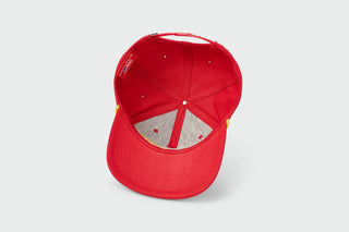 Kingdom Script Structured 5 Panel