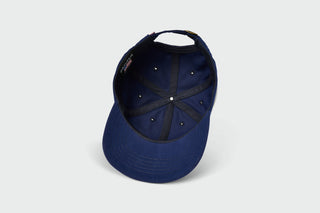 Blank Brushed Dad Hat