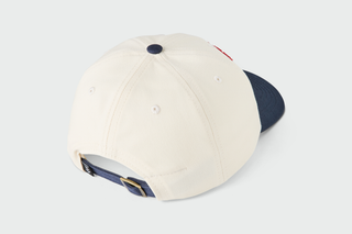 USA Dad Hat