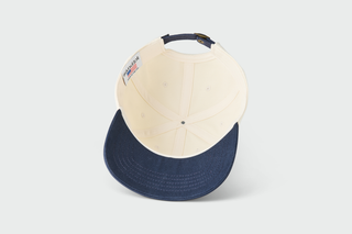 USA Dad Hat