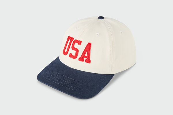 USA Dad Hat