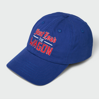 Just Load the Wagon Dad Hat